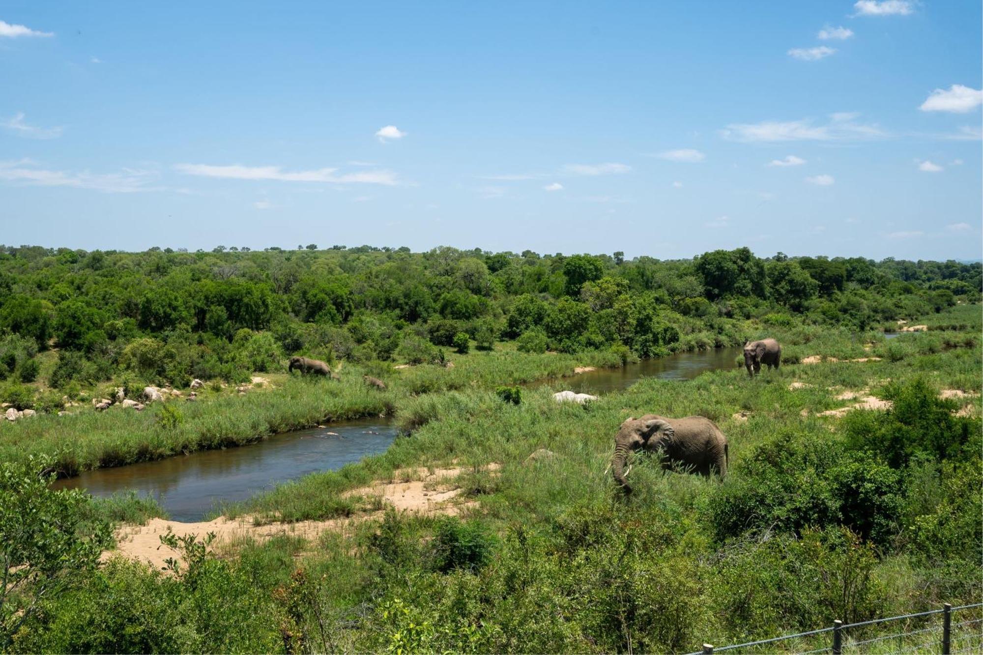 Leopard Sands Kruger Park Skukuza Exterior photo